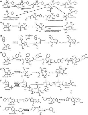 Exploring Additional Dimensions of Complexity in Inhibitor Design for Serine β-Lactamases: Mechanistic and Intra- and Inter-molecular Chemistry Approaches